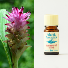 Atlantic Aromatics Turmeric Oil